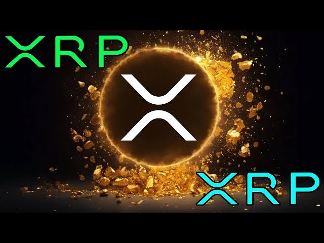 RIPPLE XRP-INHABER DIES IST DAS EINZIGE VIDEO, DAS SIE BRAUCHEN!!!! #xrp #ripple #xrpnews #bitcoin