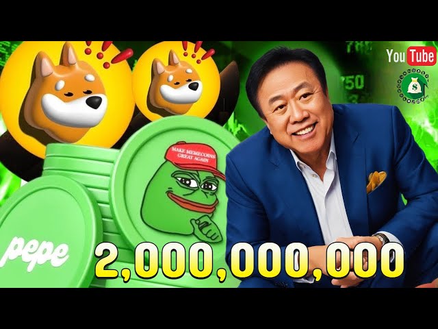 百萬富翁：BONK 和 PEPE | 2024 年牛市減半