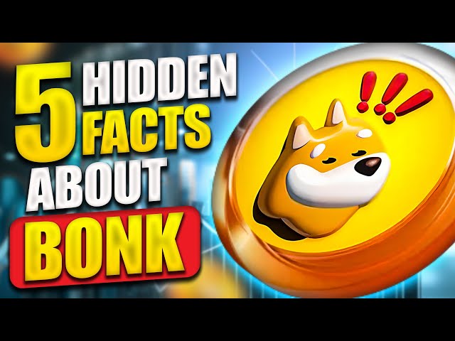 5 Facts About bonk coin