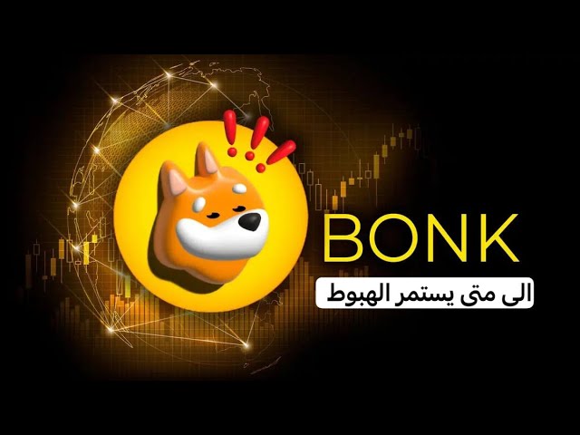 Bonk coin Is there another decline or is it time to rise -- 04/17/2024