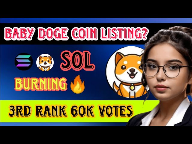 BABY DOGE SOL का BULL RUN ♨️ MEME COIN DAILY NEWS TODAY & PRICE PREDICTION in Hindi 2024