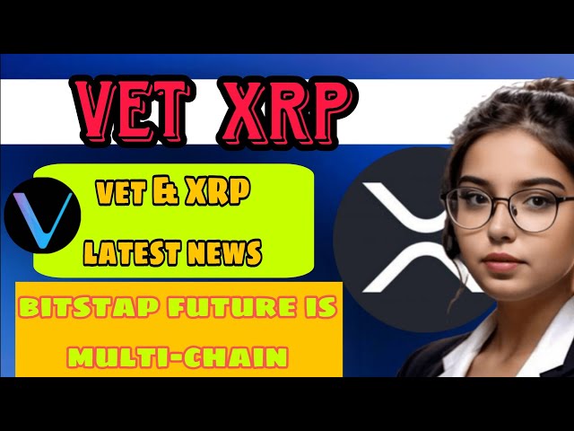 XRP VET का BULL RUN ♨️ MEME 硬币每日新闻和印地语 2024 年价格预测