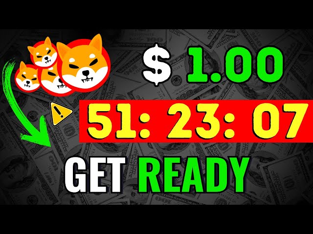 SHIBA INU: ELON MUSKS bahnbrechender Schachzug – (MAKE OR BREAK POINT) – SHIBA INU COIN NEWS PREDICTION