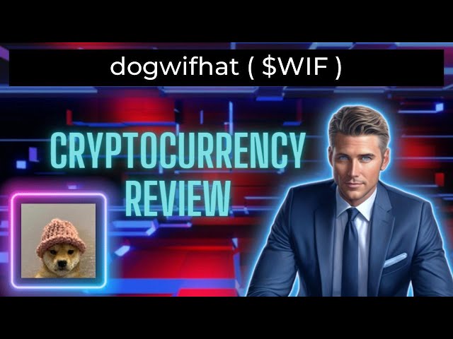 什么是 Dogwifhat (WIF) 硬币 | WIF 加密货币评论