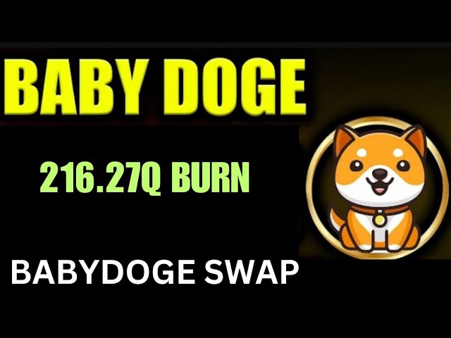 ベイビードージコイン $0.001 | 216.27Q バーン | BabyDoge コイン価格ポンプ |バイナンスのリスト