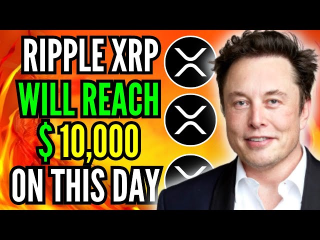 今日のXRPニュース: JUST IN:R​​IPPLE CEOがELON MUSKとのパートナーシップを確認!