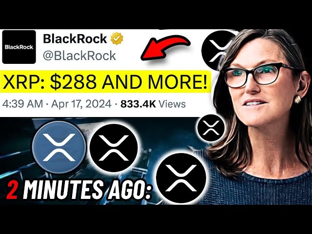 BLACKROCK SIEHT XRP DOPPELT!!! 288 $ IST JETZT MÖGLICH!!! – NEUES ÜBER RIPPLE XRP HEUTE