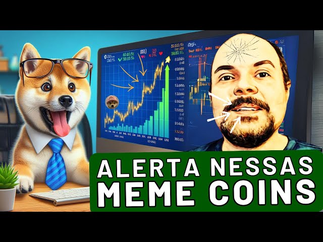 RESTEZ ALERTE SUR CES MEMECOINS