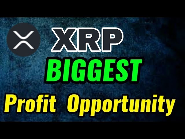 XRP 币紧急消息！波纹价格预测