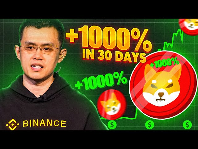 SHIBA INU: 3 DAYS TO BECOME A MILLIONAIRE!! DON'T SLEEP ON IT!!! - SHIBA INU COIN NEWS TODAY