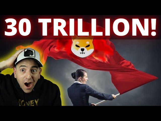 哇！ 30,000,000,000,000 隻柴犬！剩不到 48 個！ （比特幣減半）