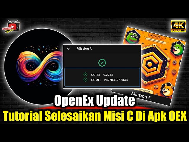 OpenEx 更新 ✅ 有关如何在 OEX Tesnet 应用程序中完成任务 C 的教程