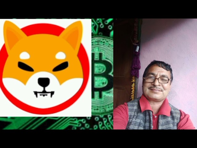 比特币减半。湿婆犬硬币价格。 xrp 波纹更新。币安交易所。加密 khadka。