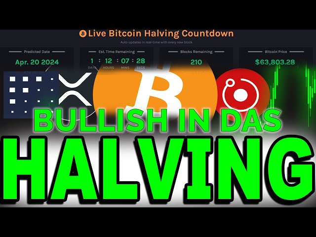 BULLISH ins BITCOIN HALVING? Analyse: BTC, FET, RNDR, XRP