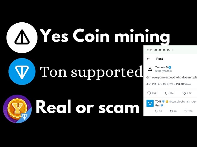 Yes Coin 新挖礦應用程式由大量區塊鏈支持，與 notcoin 相同 |加密貨幣空投