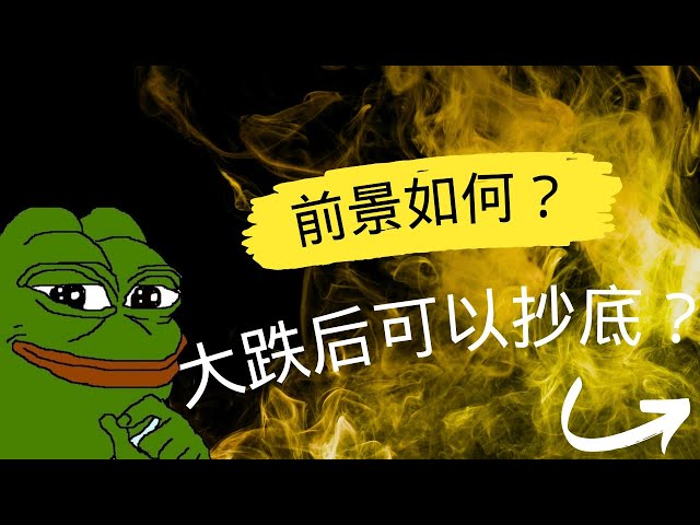 PEPE 币 |佩佩币 |佩佩币未来前景如何？大跌后现在可以抄底吗？