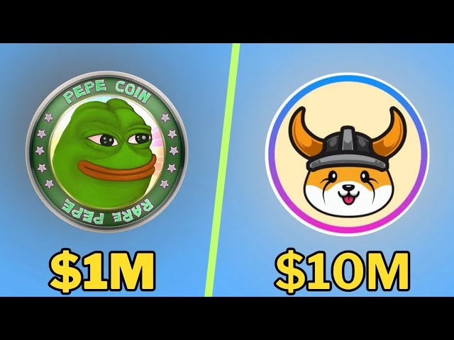 PEPE 硬币 VS FLOKI INU 硬币 ||您应该用 1000 美元购买以下哪些硬币？