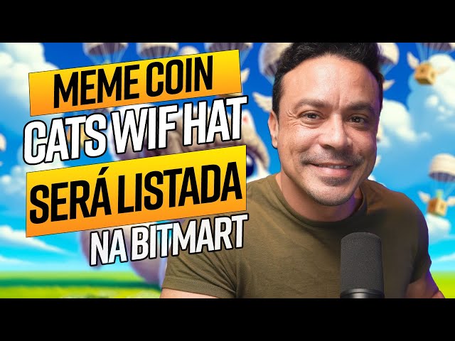 MEME COIN 猫 Wif 帽子 一个好机会 |如何购买加密货币