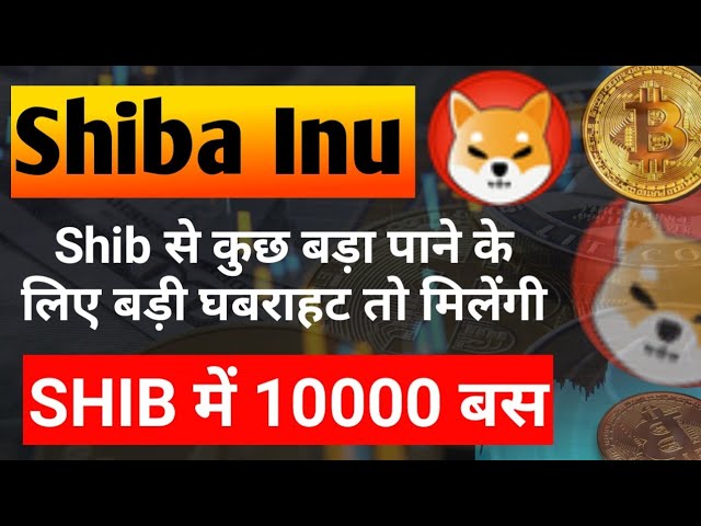 芝 में 10,000 बस ||最新の更新情報 ||今日の柴犬コインニュース ||柴犬コイン価格予測