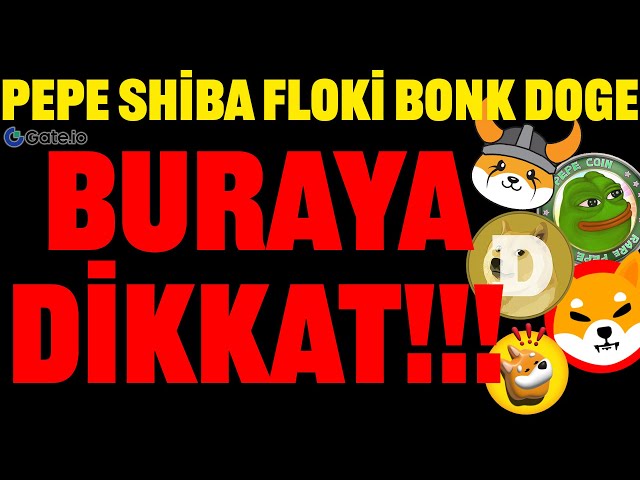 PEPE SHIBA FLOKI DOGE BONK 注意這裡！崛起了嗎？