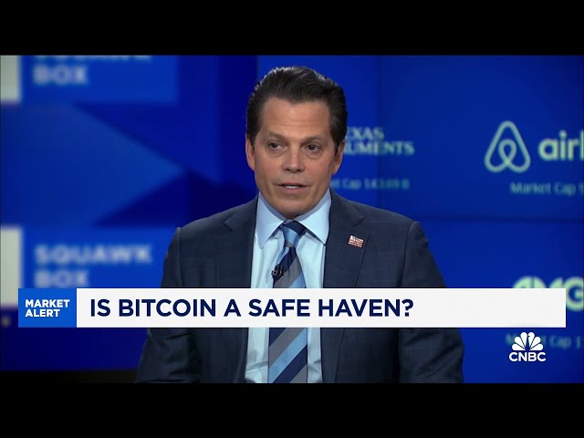 SkyBridge Capital 的 Anthony Scaramucci 表示，比特幣在採用方面還很年輕