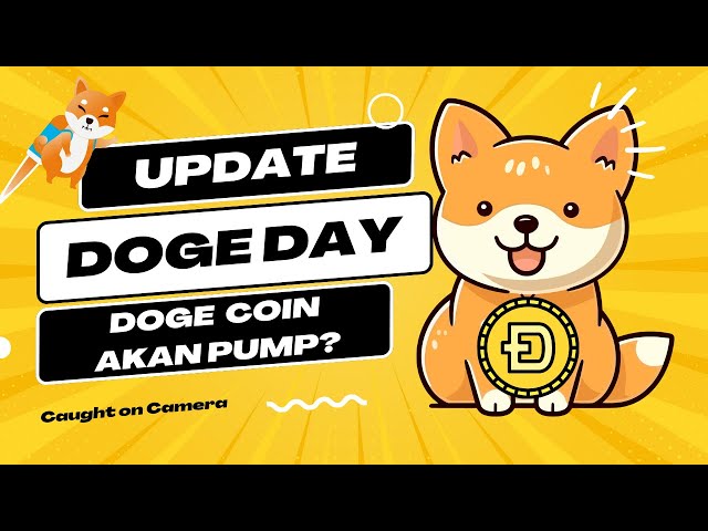 LE JOUR DU DOGE ARRIVE ! LE DOGE COIN VOLERA-T-IL ? MISE À JOUR DE L'ANALYSE DES DOGE COIN EN 2024