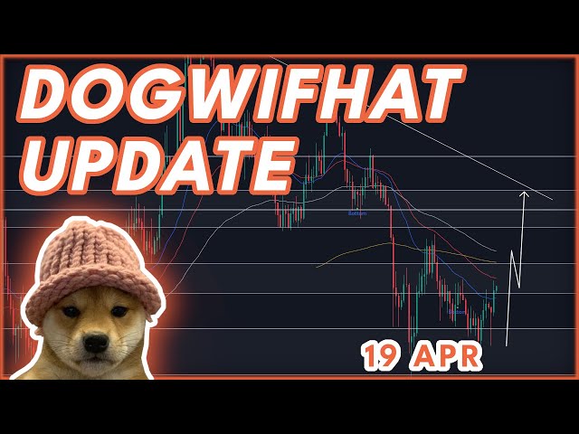 今天看涨妻子！🔥 | DOGWIFHAT 加密货币价格预测和新闻 2024！