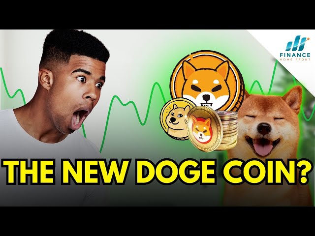 SHIBA INU 的崛起：它是新的 DOGE 币吗？