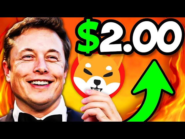 ELON MUSK는 새로운 발표로 SHIB ARMY를 놀라게 했습니다!! - 시바견 뉴스