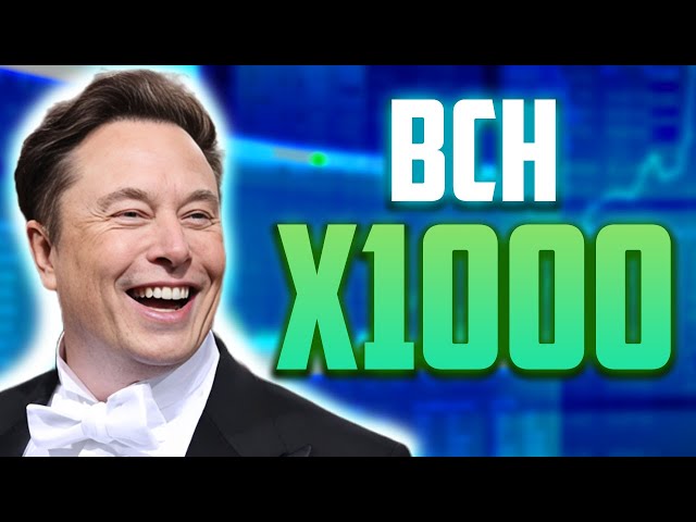 BCH 가격은 X1000이 될까요?? 진실?? - 2024년 비트코인 ​​현금 가격 예측 및 업데이트