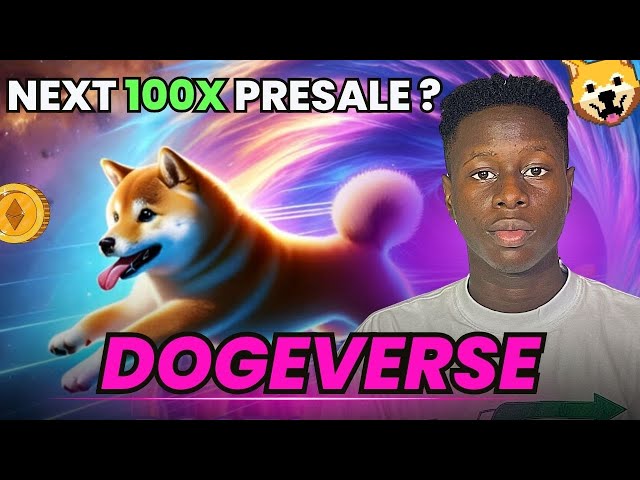 DOGEVERSE 預售加密貨幣評論 - Dogeverse 是一種新的多鏈狗狗幣！