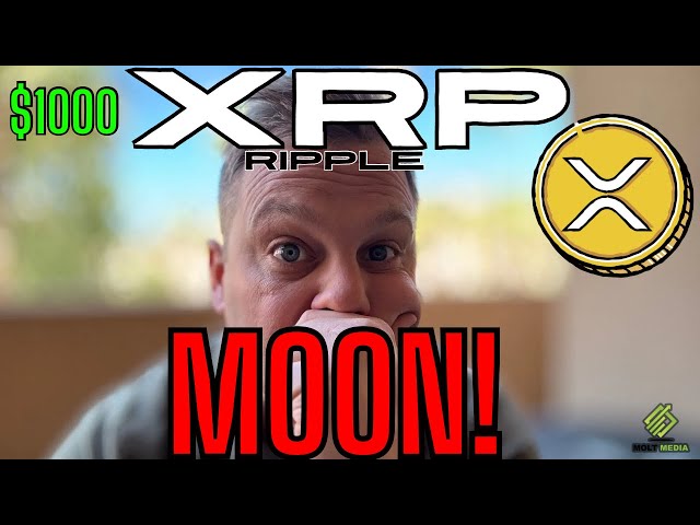 これは「XRP ムーンズ」🚀 衝撃的な波紋🤯 の数字!!! 🚨