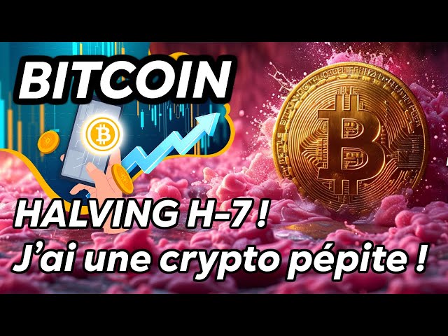 BITCOIN-HALBUNG H-7 🔥! ICH HABE EIN KRYPTO-NUGGET FÜR DICH!