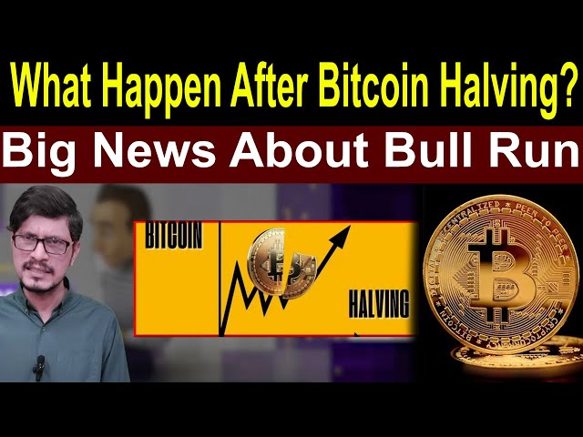 比特币减半后会发生什么？关于 Bull Run l Crypto Baba 的重大新闻