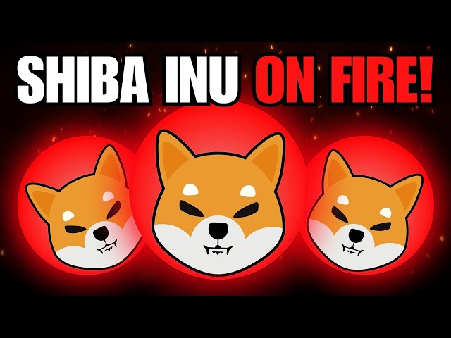 SHIBA INU COIN post BITCOINの半減期がこの価格に！