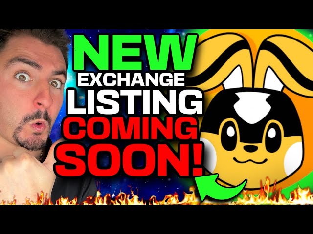 NEW EXCHANGE LISTING For $PIKA! Pikamoon Gaming Coin SOON!