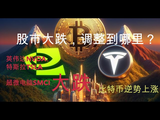 AI股暴跌，恐慌情绪升温，比特币减半后涨价，特斯拉会跌到哪里？