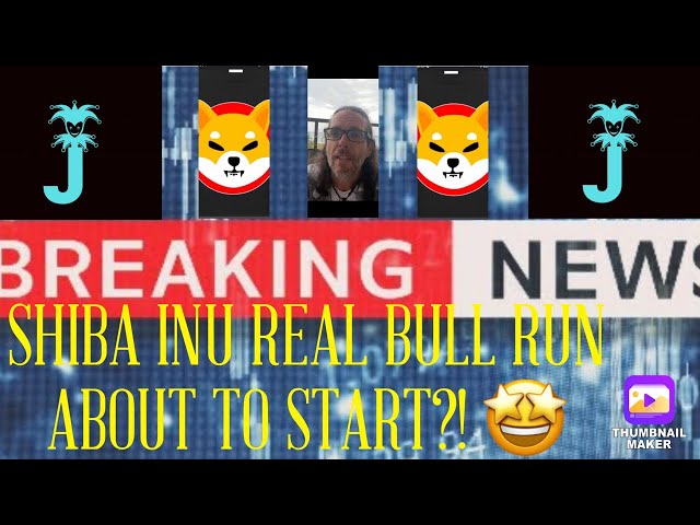 시바견 코인 | SHIB REAL BULL RUN이 곧 시작되나요?! | 오늘의 SHIB 뉴스 | SHIB 가격 | 시브번