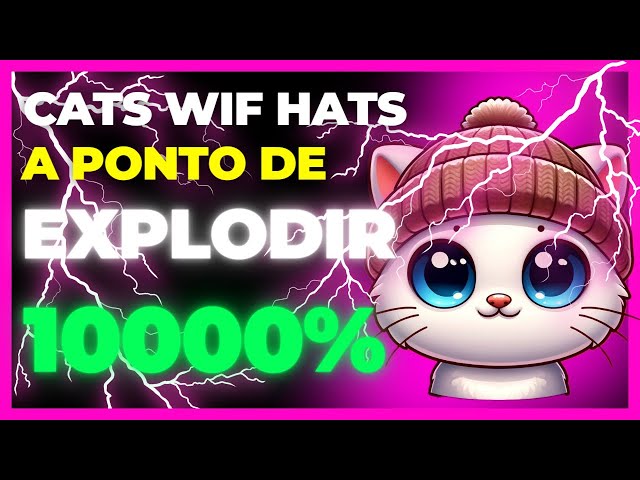 SOLANA 네트워크의 새로운 MEME 코인은 10000% 폭발할 수 있습니다(CATS WIF HATS) 2024년 SOLANA의 새로운 MEME 코인