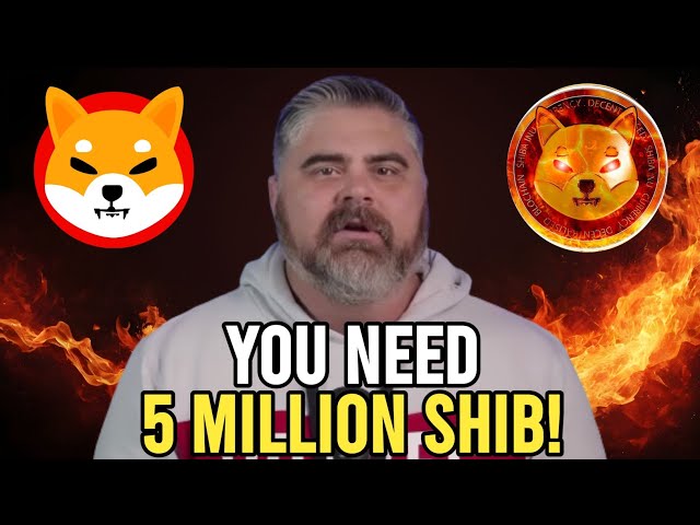 Bitboy 已确认 SHIBA 2.0 的推出 如果您持有 500 万个 SHIBA INU 币，请注意！