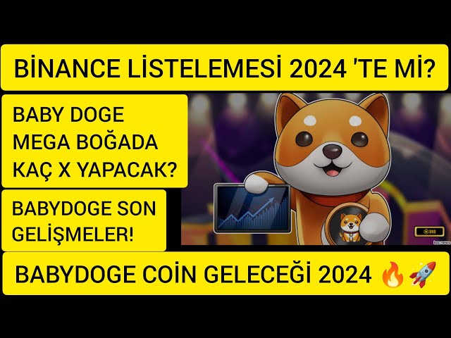 狗狗寶寶硬幣重大新聞！ BABY DOGE 會在幣安上市嗎？狗狗寶寶的未來 2024 年？ 🚀🔥