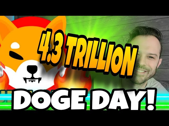 Shiba Inu Coin | Doge Day Is Here And The Inflows Are Off The Charts!