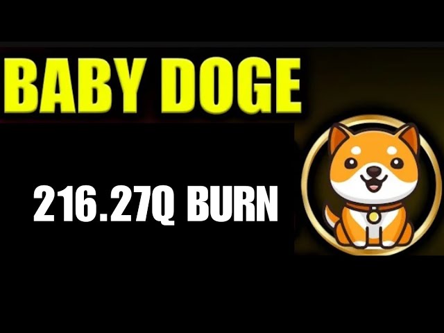 Baby Dogecoin News Today | BabyDoge Coin Price Pump | Binance Listing | Partnership