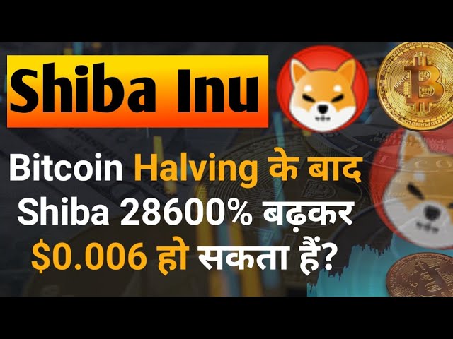 BTC 減半 के बाद SHIB 28600% 上漲 0.006 美元 ||柴犬硬幣今日新聞 |柴犬價格預測