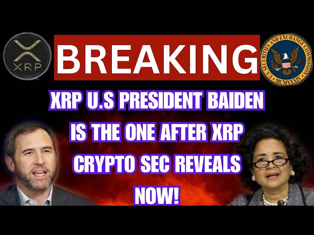 XRP最新情報：リップルCEOブラッド・ガーリングハウス氏が米国仮想通貨危機の責任をバイデン政権に非難