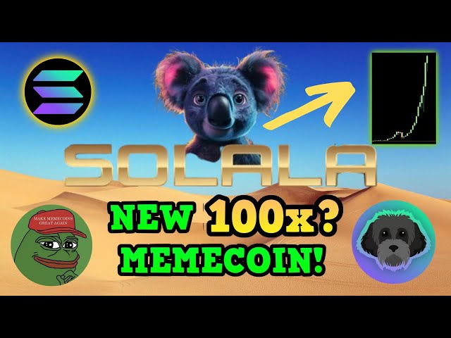 NEW SOLANA MEME COIN GEM ?!🚀 Solala aka Solana Founder Anatoly Yakovenko’s Favorite Animal Koala 🐨📈🚀