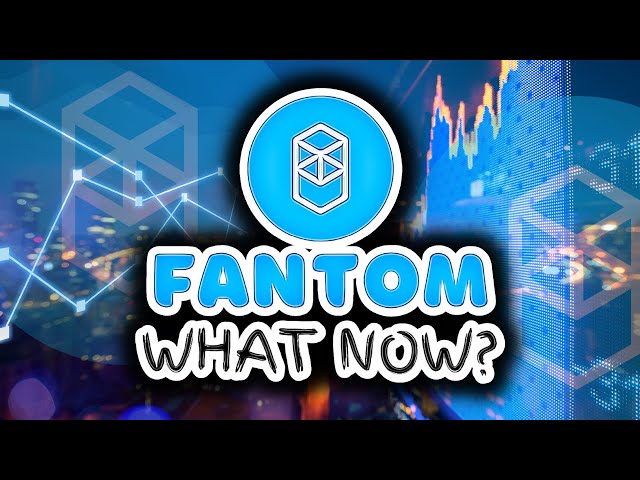 FANTOM (FTM) Eyeing BOUNCE After 55% Retracement!! Fantom FTM Updates & Analysis