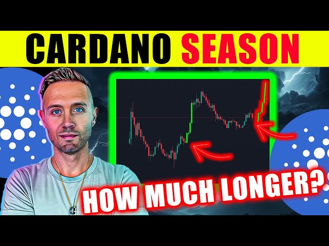 Die Cardano-Saison naht! Hier erfahren Sie, wann...