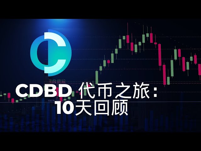 CDBD 代币之旅：10 天回顾