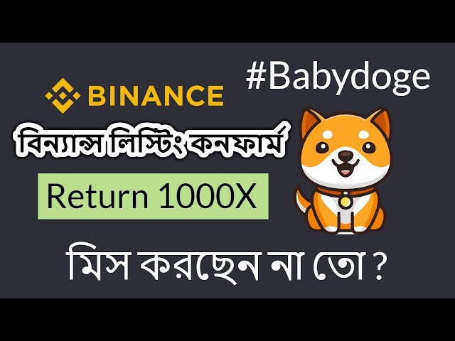 BABYDOGE 코인 가격 예측 Bull Run 2025 | 바이낸스의 BABYDOGE? | 시바 이누 | 비트코인 |